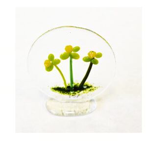 Små forårsblomster i glas med fod