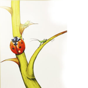 Mariehøne på gren